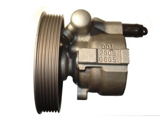  Pompa wspomagania hydraulicznego kierownicy Renault Clio 3