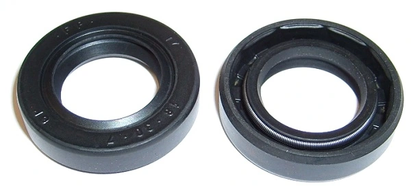 244074 Elring