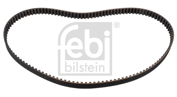 10973 Febi