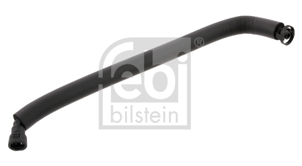 36031 Febi