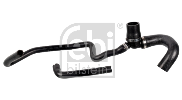 172956 Febi