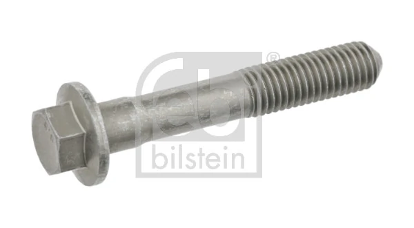 24381 Febi