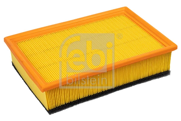 24406 Febi
