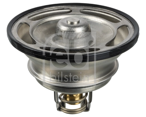 7421746213 Renault (RVI) Termostat