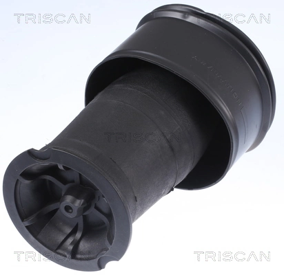 Poduszka pneumatyczna (resor pneumatyczny) mostu tylnego VAG F307512401 cena, od 94,46 USD