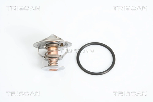 Termostat KIA Carnival III minivan (UVP) (2006 - 2026) cena, od 14,23 USD