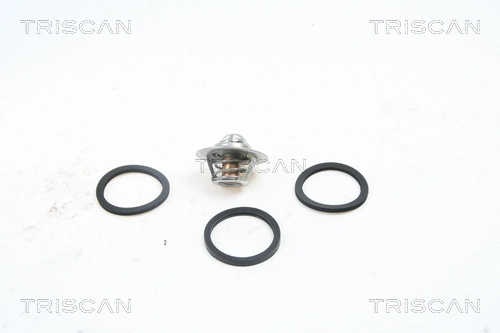 Termostat do Renault 19 II B53, C53