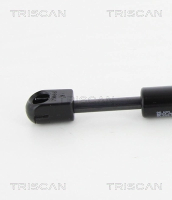 Amortyzator klapy bagażnika (3/5 drzwi-tylnych) Renault Megane I kabriolet (EA0, EA1) (1996 - 2003) cena, od 7,49 USD