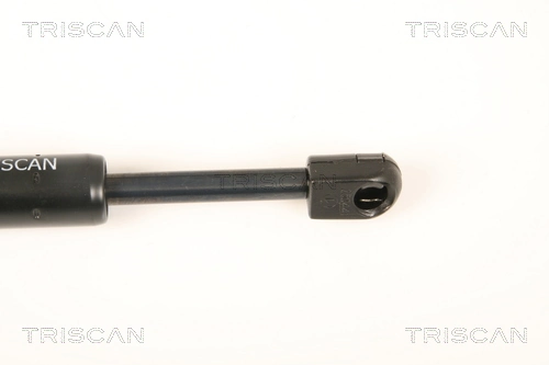 Amortyzator maski Peugeot 406 coupe (8C) (1997 - 2004) cena, od 16,38 USD