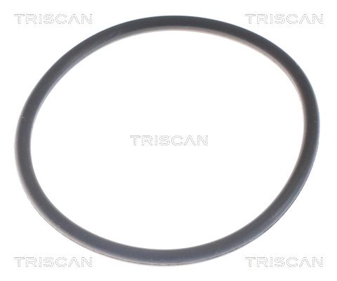 Termostat BMW 5 sedana (E39) (1995 - 2003) cena, od 12,47 USD