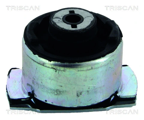 8200051813 Renault (RVI) Silentblock tylnej belki