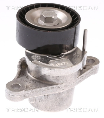 1613255380 Peugeot/Citroen Napinacz paska napędowego