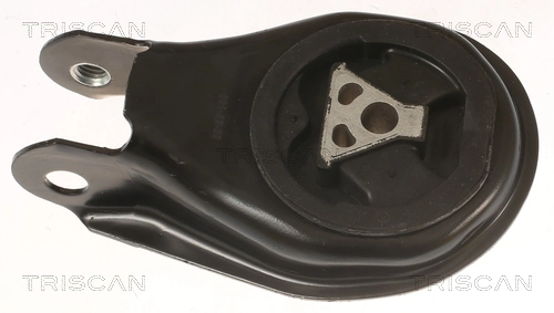 850510200 Triscan