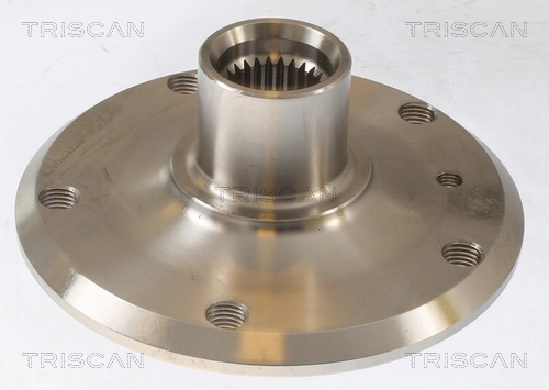 Do koszyka Piasta tylna BMW 3  E46