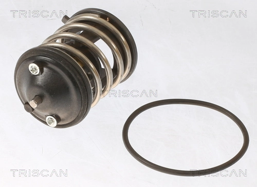 862043287 Triscan