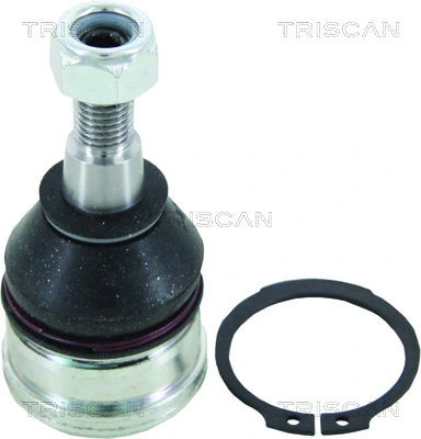 Sworzeń wahacza dolny Mitsubishi Colt VI hatchback (Z3A) (2004 - 2008) cena, od 18,31 USD