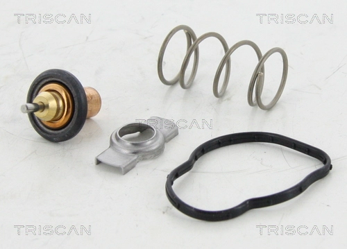 Termostat Renault DUSTER II SUV (HM) (2017 - 2026) cena, od 26,11 USD