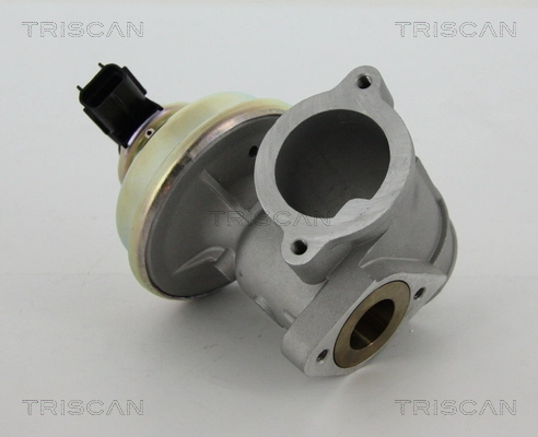 881316102 Triscan