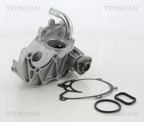860080019 Triscan