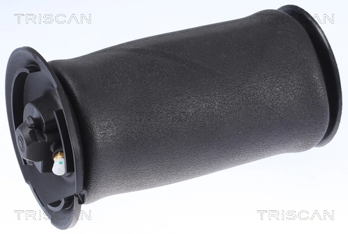 872011202 Triscan