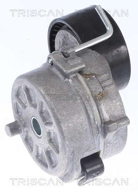 Do koszyka Napinacz paska napędowego Citroen C4 Cactus 