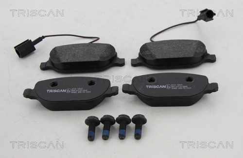 811012021 Triscan