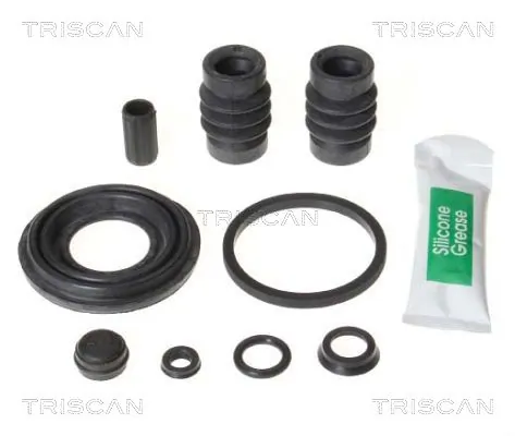 8170203857 Triscan