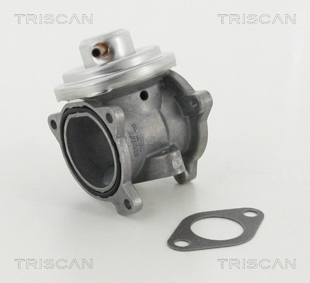 881329011 Triscan Zawór recyrkulacji spalin EGR