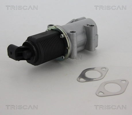 Zawór recyrkulacji spalin EGR General Motors 1675871480