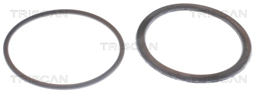 Termostat BMW 11531729720