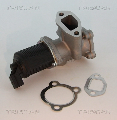 Do koszyka 93196799 Peugeot/Citroen Zawór recyrkulacji spalin EGR