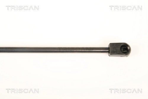 Amortyzator klapy bagażnika (3/5 drzwi-tylnych) Hyundai I10 hatchback (PA) (2007 - 2010) cena, od 12,89 USD
