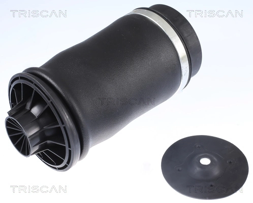 Poduszka pneumatyczna (resor pneumatyczny) mostu tylnego AND 30616005 cena, od 109,57 USD