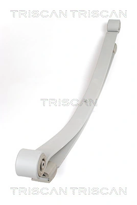 876523018 Triscan