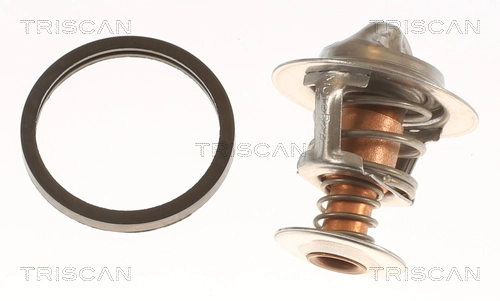 212006F900 Nissan/Infiniti Termostat