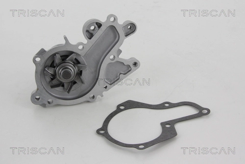860069010 Triscan