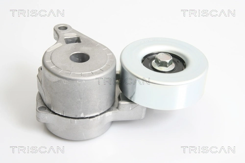 Napinacz paska napędowego Mitsubishi Outlander I SUV (CU) (2003 - 2008) cena, od 46,76 USD