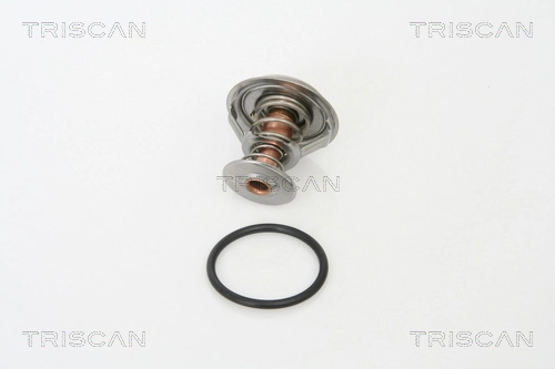 XR85174 Jaguar Termostat