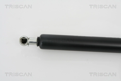 Amortyzator klapy bagażnika (3/5 drzwi-tylnych) Renault Espace IV minivan (JK0) (2002 - 2015) cena, od 20,67 USD