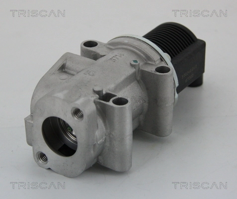 881315032 Triscan