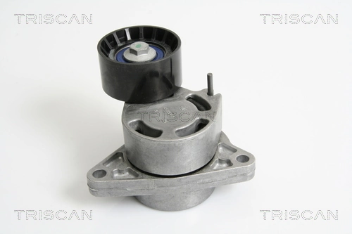 Do koszyka 93198651 General Motors Napinacz paska napędowego