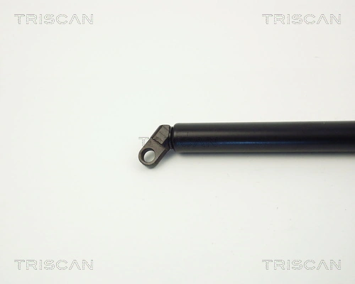 Amortyzator klapy bagażnika (3/5 drzwi-tylnych) BMW 5 sedana (E39) (1995 - 2003) cena, od 13,36 USD