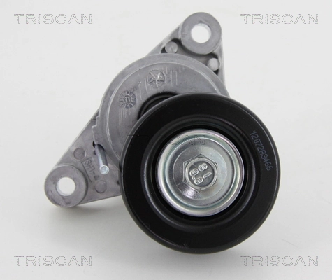 8641211002 Triscan