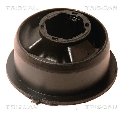 850027831 Triscan