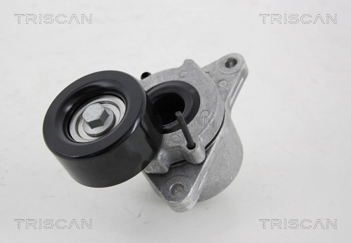 Napinacz paska napędowego Nissan Pathfinder SUV (R51M) (2005 - 2012) cena, od 44,01 USD