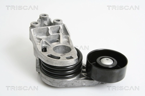 Do koszyka Napinacz paska napędowego Audi A2  8Z0