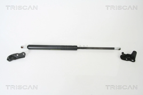 871013265 Triscan