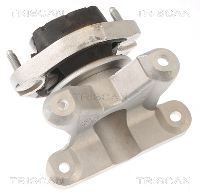 Do koszyka Poduszka (podpora) silnika tylna Audi A4 B7 8EC