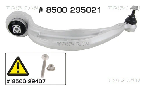 8500295021 Triscan