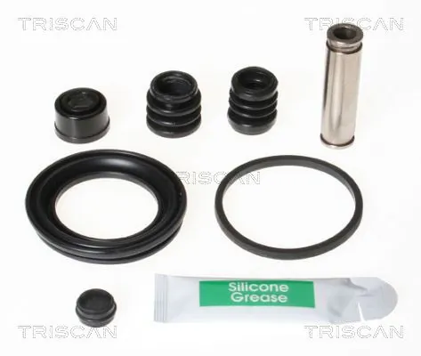 8170202011 Triscan